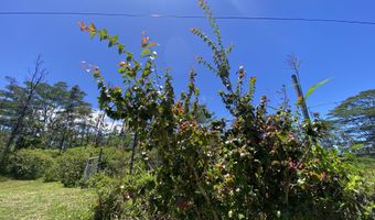 15-1719 13TH Ave, Keaau, HI 96749