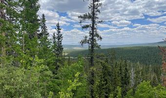 847 COUNTY ROAD 787, Alma, CO 80420