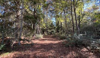 0 Bar M Farm Rd, Andalusia, AL 36421