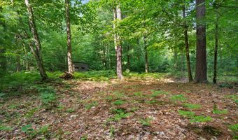 1125 39th St, Allegan, MI 49010