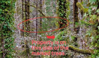 E Barlow Trail Rd, Brightwood, OR 97011