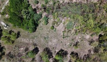 La Grant Road, Alger, MI 48610