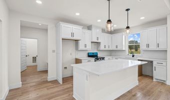 252 Jimmy Ln, Millsap, TX 76066