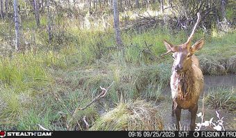 Tract A, Anaconda, MT 59711