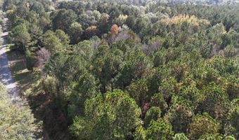 Old Pinola Braxton Road, Braxton, MS 39044