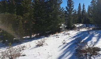 3553 RIVER Dr, Alma, CO 80420