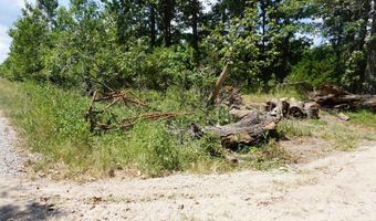 000 Stokes Rd, Bald Knob, AR 72010