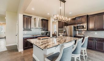 10834 Graphite St, Broomfield, CO 80021