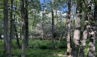 Lot 10 TWILIGHT Drive, Cresco, PA 18326