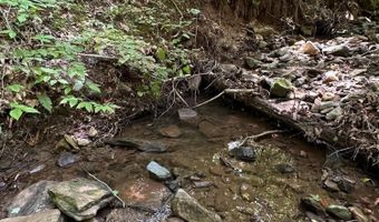 Bryant Hollow Road, Alderson, WV 24910