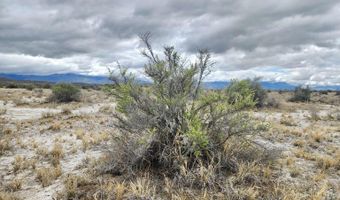 Martin Road, Crescent Valley, NV 89821