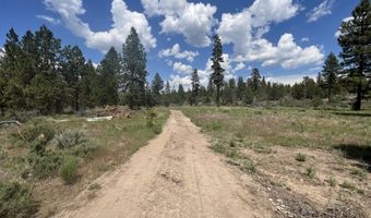 Bufflehead Drive, Bonanza, OR 97623