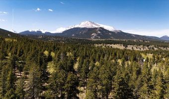 104 County Road 90, Allenspark, CO 80510