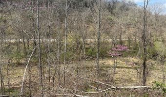 Little Coal River Road, Alum Creek, WV 25501