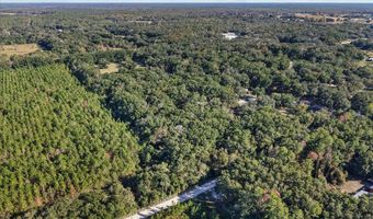 912 SW 22nd Ct, Bell, FL 32619