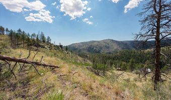 693 Cougar Dr, Bellvue, CO 80512