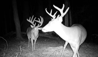 425 Rose Hill Rd, Bentonia, MS 39040