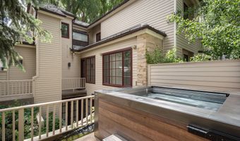 504 N 8th St, Aspen, CO 81611