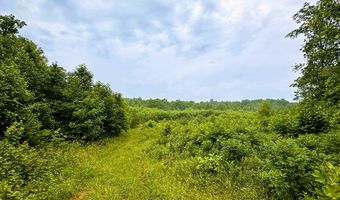 13 44 Ac Chestnut Ridge Rd, Allardt, TN 38504