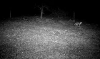 Lot 20 Ash Creek Road, Anderson, CA 96007