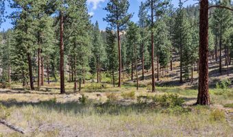 13902 Highland Trl, Alberton, MT 59820