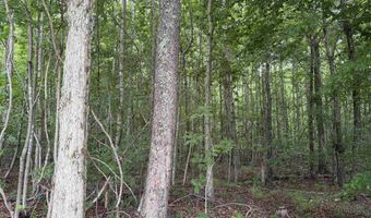 745 FOSTER Rd, Adamsville, TN 38310