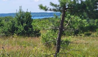 Parcel D Cemetery Road, Alden, MI 49612