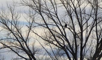 TBD Road 8VE Lot 16-17-A, Clark, WY 82435