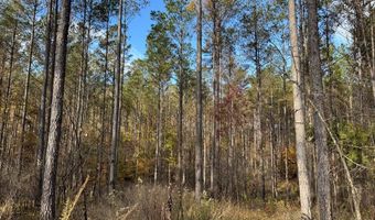 Hwy 9, Bruce, MS 38915