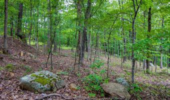 100 Block SPANISH MINE, Jessieville, AR 71909