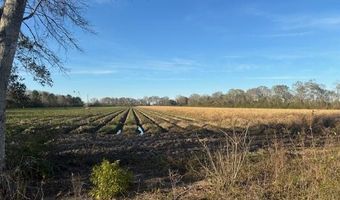 S Hospital Drive, Abbeville, LA 70510
