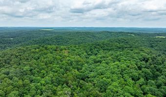 Sandtown Road, Batesville, AR 72501