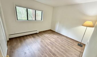1214 Vine St 1214, Aspen, CO 81611