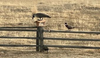 313 Rendezvous St, Buffalo, WY 82834