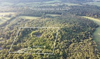 10 Acres CR 9204, Alpena, AR 72611
