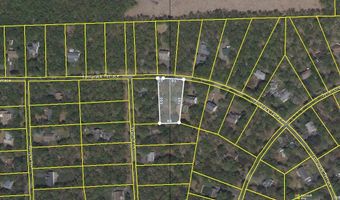 LIII609 Tamarack Terrace, Albrightsville, PA 18210