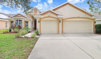 6803 CROMWELL GARDEN Dr, Apollo Beach, FL 33572