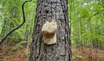 CR 265, Bruce, MS 38915