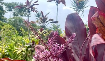 Hana Hwy lot 20, Hana, HI 96713