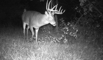 189 Th St, Albia, IA 52531