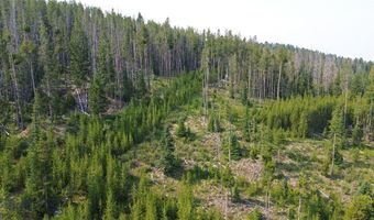 NHN Old Georgetown Road, Anaconda, MT 59711