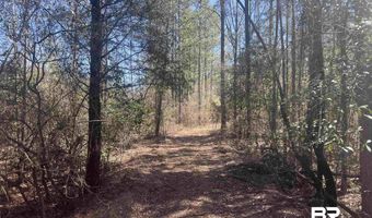 Robinsonville Road, Atmore, AL 36502
