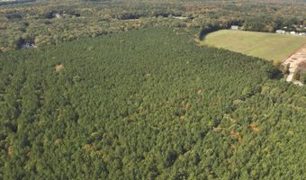 RT 317, Georgetown, DE 19947