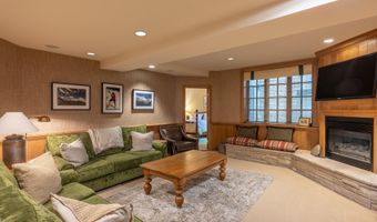 316 W End St, Aspen, CO 81611