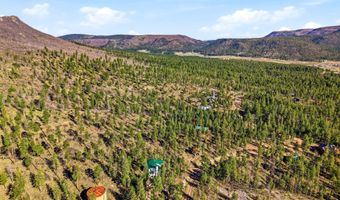 12 W Pergatory Dr, Alpine, AZ 85920