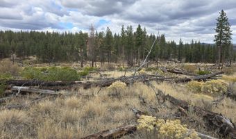 Partin Drive 19, Beatty, OR 97621