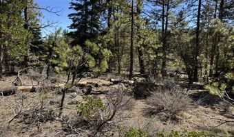Horned Owl Lane, Bonanza, OR 97623