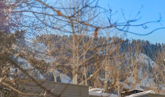 825 E Hopkins Ave 2S, Aspen, CO 81611