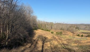 10 Acres Bob Dennings Rd, Allons, TN 38541
