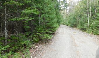 98 Davis Rd, Alexander, ME 04694